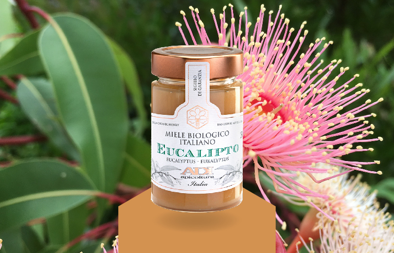 miele di eucalipto