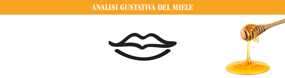 miele bio_analisisensoriale
