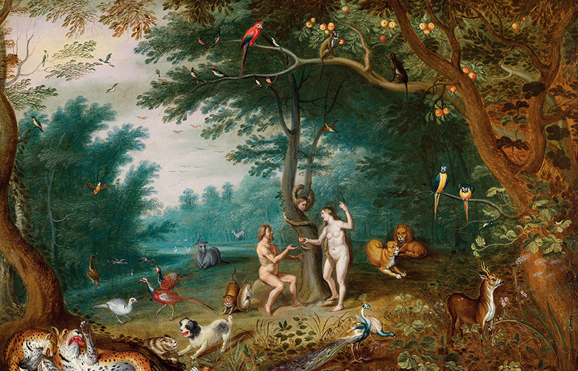 Biodiversità