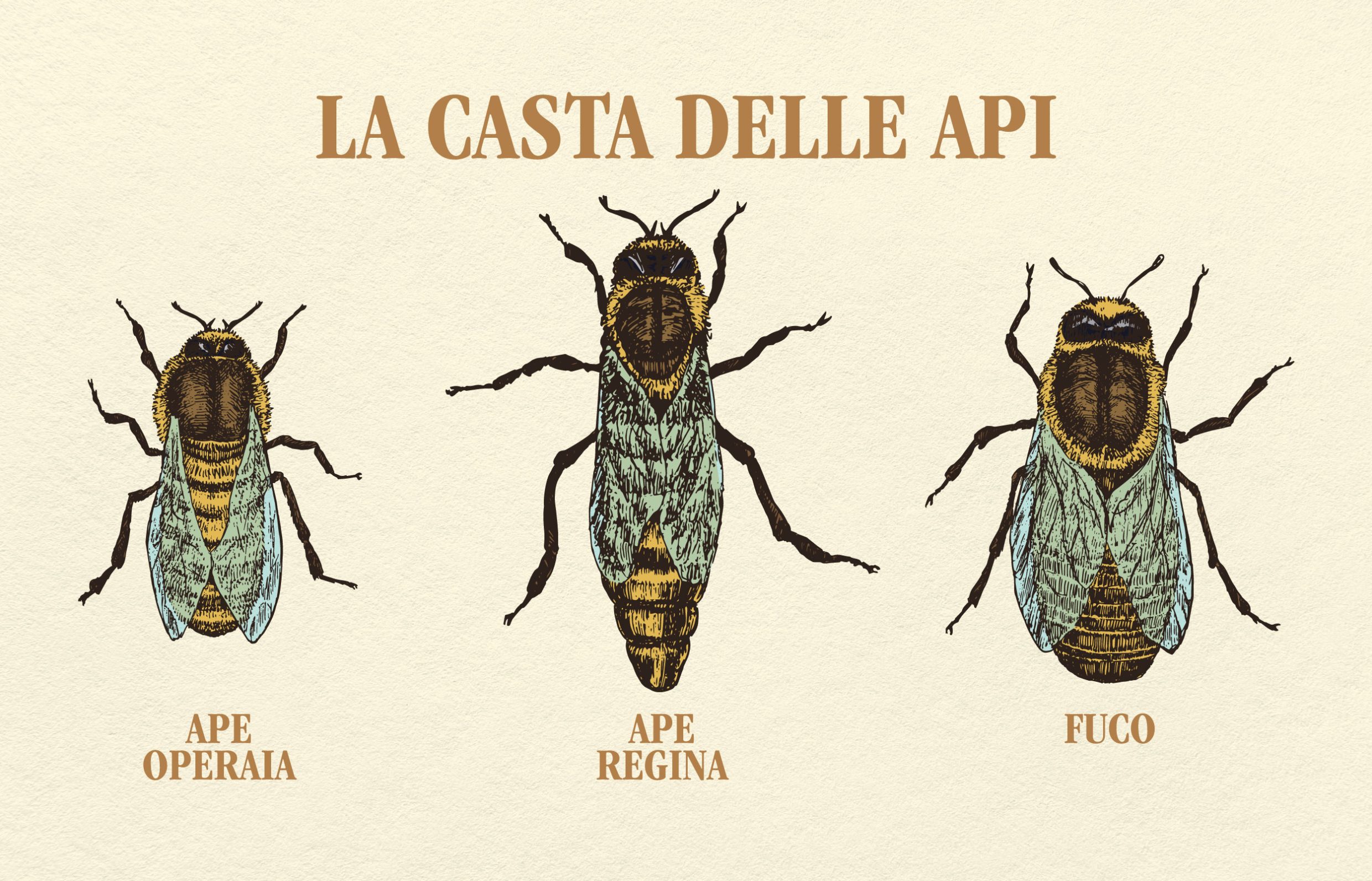 casta api
