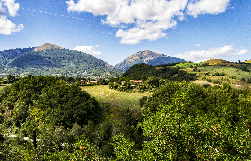 miele abruzzese