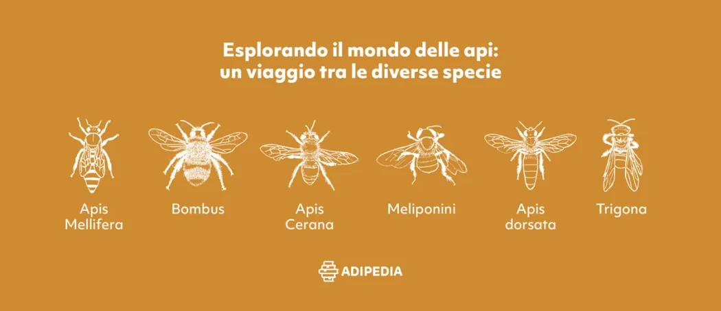 Giornata mondiale api