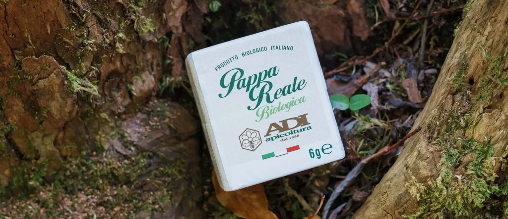 Pappa reale