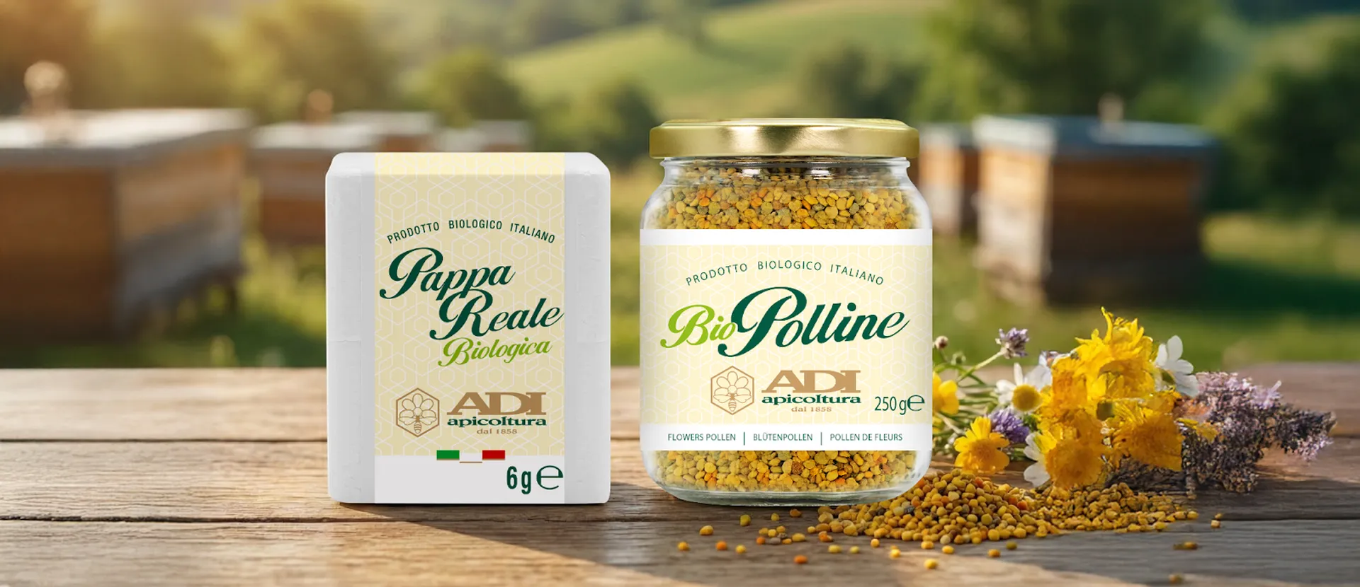 Polline e pappa reale - ADI Apicoltura