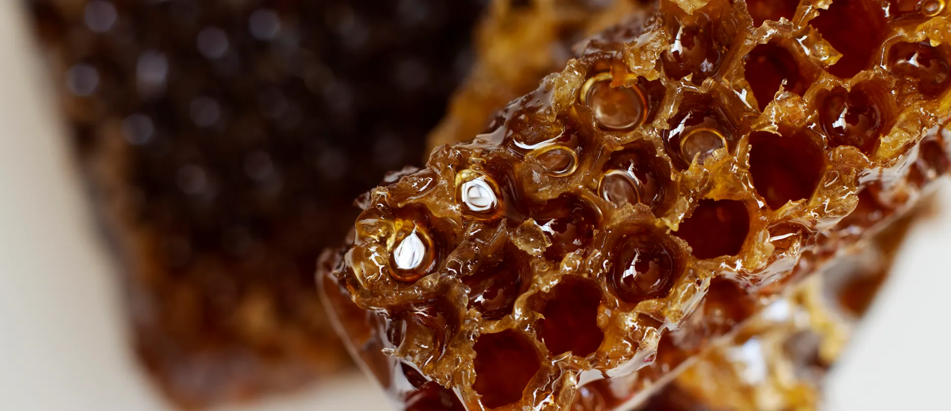 pappa reale biologica - ADI Apicoltura
