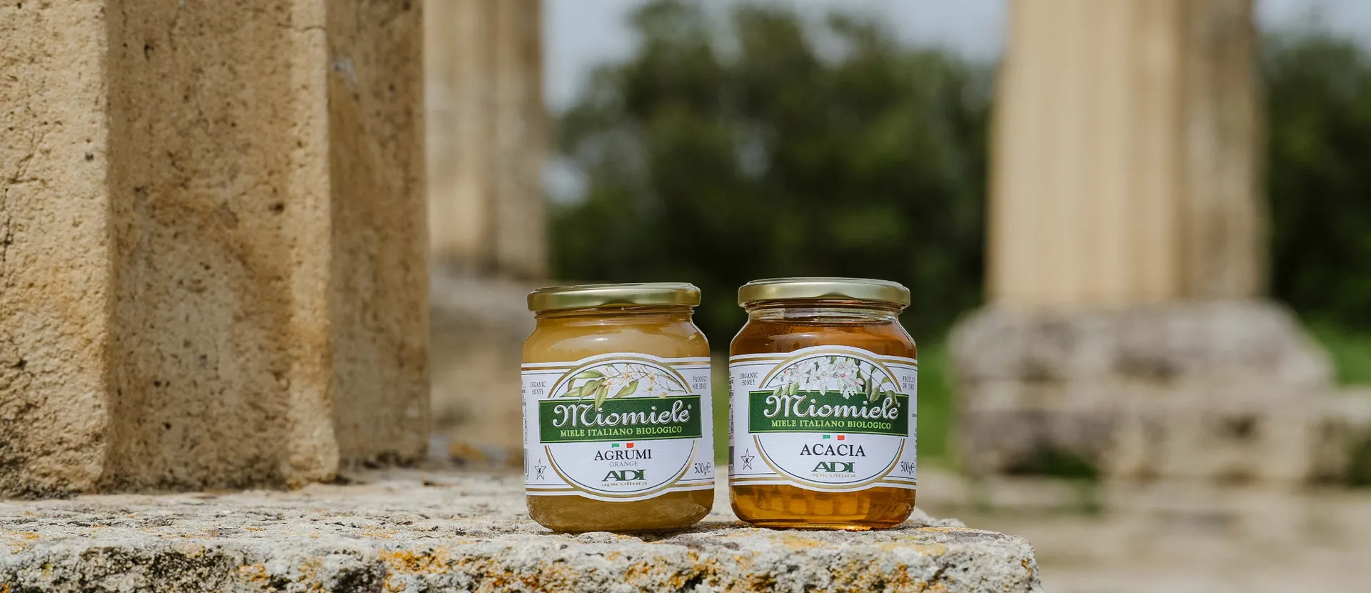 ADI Apicoltura